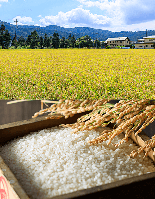 写真：自分の目で見た生産者からの直接取引