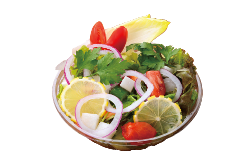 高原野菜サラダ 自家製ドレッシング付